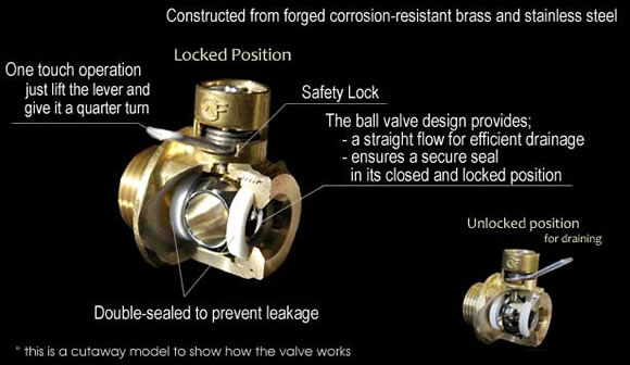 cutaway.jpeg